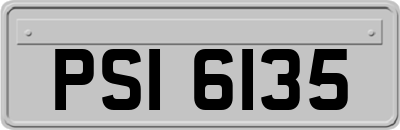 PSI6135