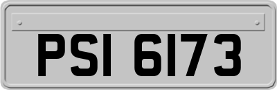 PSI6173
