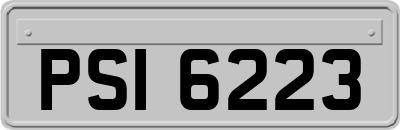 PSI6223