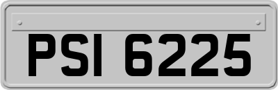 PSI6225