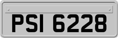 PSI6228