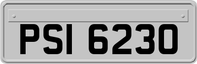 PSI6230