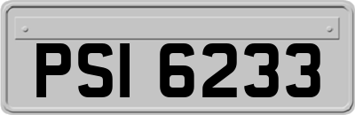 PSI6233