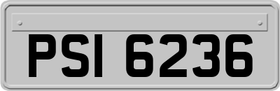 PSI6236