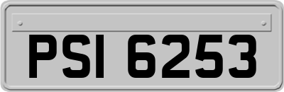PSI6253
