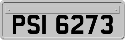 PSI6273