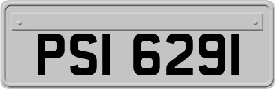 PSI6291