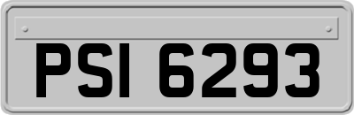 PSI6293