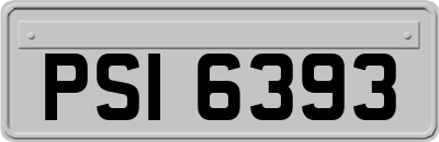 PSI6393