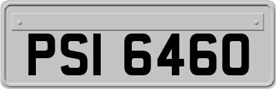 PSI6460