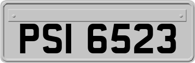 PSI6523
