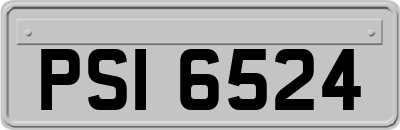 PSI6524