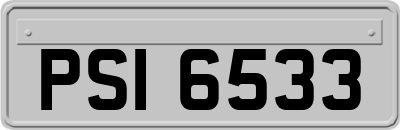 PSI6533