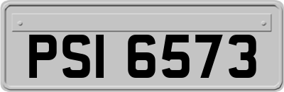 PSI6573