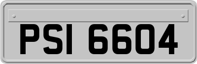 PSI6604