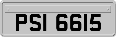 PSI6615