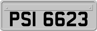 PSI6623