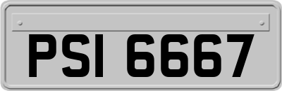 PSI6667