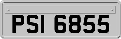 PSI6855