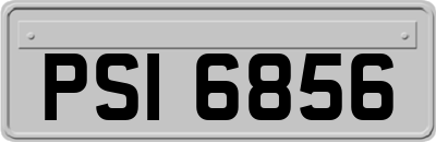 PSI6856
