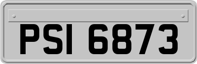 PSI6873