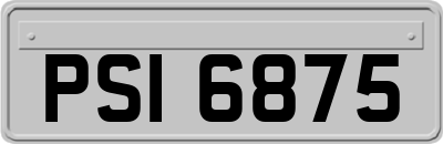 PSI6875