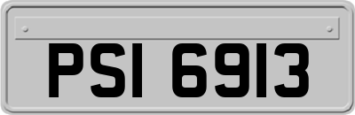 PSI6913