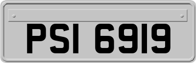 PSI6919