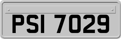 PSI7029