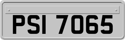 PSI7065