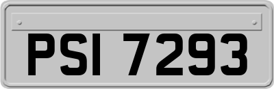 PSI7293
