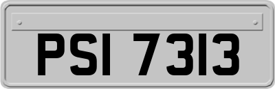 PSI7313
