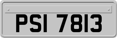 PSI7813