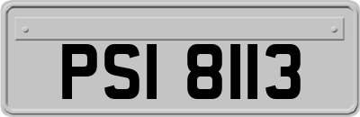 PSI8113