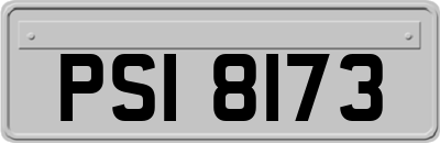 PSI8173