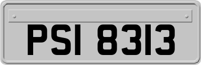 PSI8313