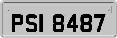 PSI8487