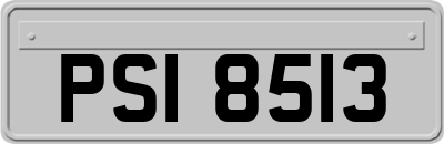 PSI8513