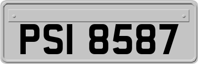 PSI8587