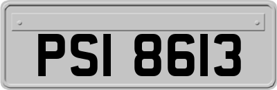 PSI8613