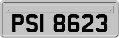 PSI8623