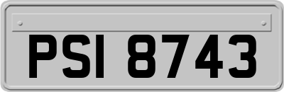 PSI8743