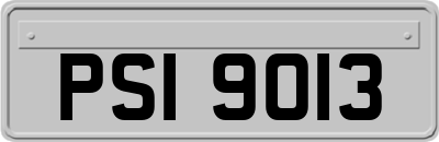 PSI9013