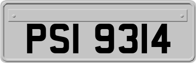PSI9314