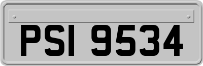 PSI9534
