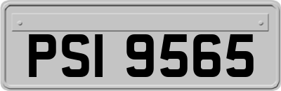 PSI9565