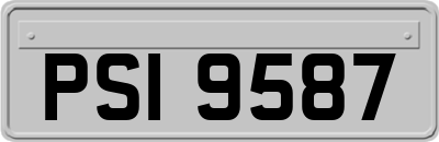 PSI9587