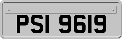 PSI9619