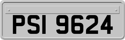 PSI9624