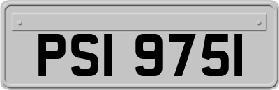 PSI9751